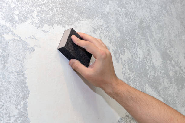 Best Attic Mold Removal  in Mount Vernon, AL