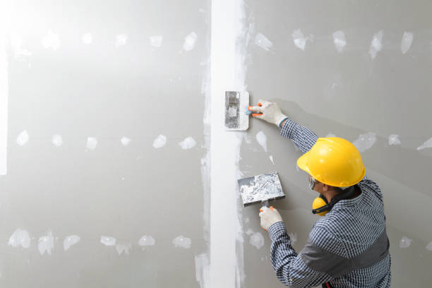Best Water Damage & Mold Remediation  in Mount Vernon, AL