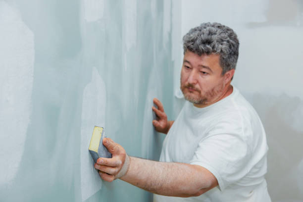 Best Black Mold Removal  in Mount Vernon, AL
