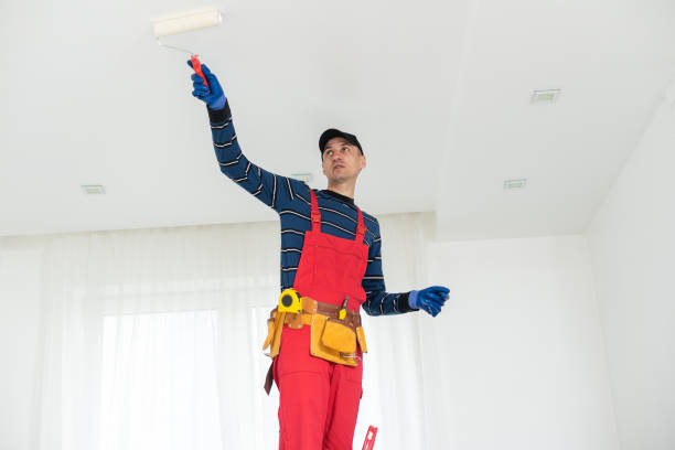 Best Emergency Mold Remediation  in Mount Vernon, AL