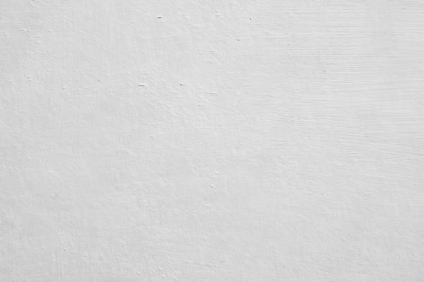  Mount Vernon, AL Mold Removal Pros