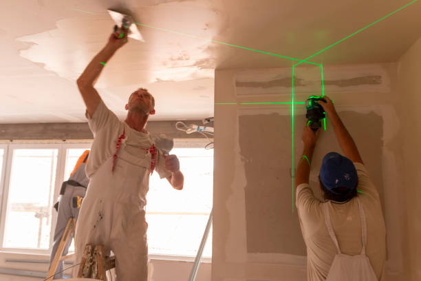 Best Forensic Mold Investigation  in Mount Vernon, AL