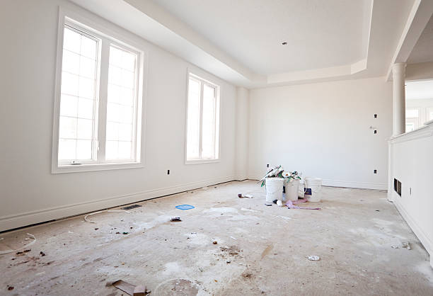Reliable Mount Vernon, AL Mold Removal Solutions