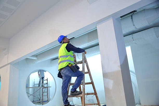 Best Comprehensive Air Testing for Mold Contaminants  in Mount Vernon, AL